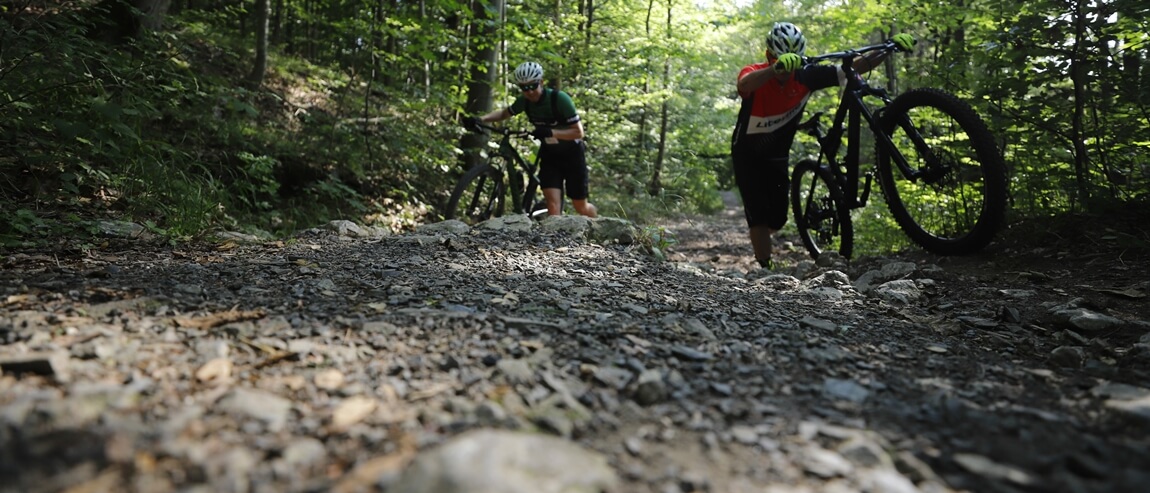 Stat spansk Afskrække Mountainbiking i Harzen (Insiderinfo 2023)